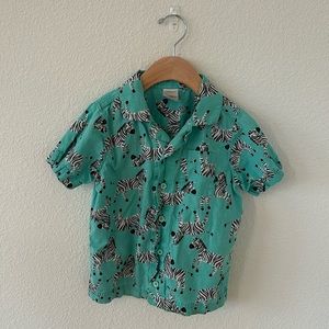 Zebra Shirt Boys from Hanna Andersson size 5t